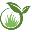 Danville Lawn Clean Up