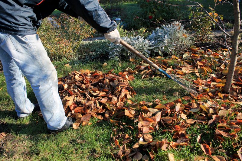 Fall Lawn Cleanup Service detail