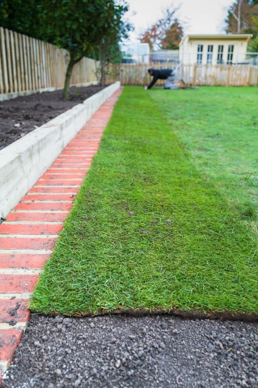 Freshly Edged Lawn