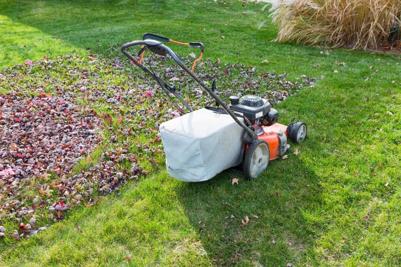 Seasonal Lawn Maintenance