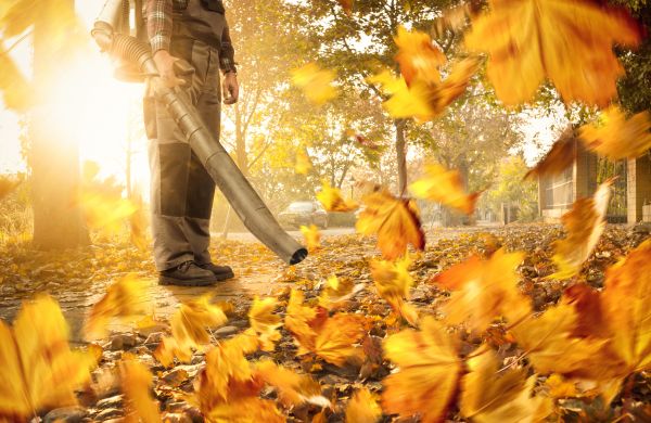 Cost of Leaf Blowing Service in Danville