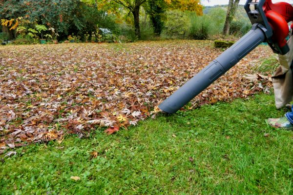 Cost of Leaf Vacuuming Service in Danville