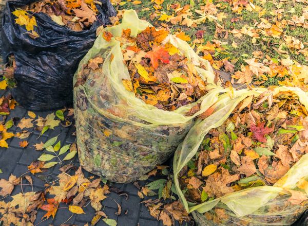 Cost of Yard Cleanup Service in Danville