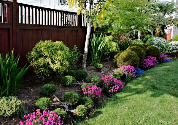 Garden Restoration