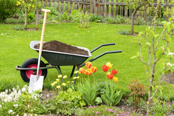 Cost of Spring Yard Cleanup in Danville