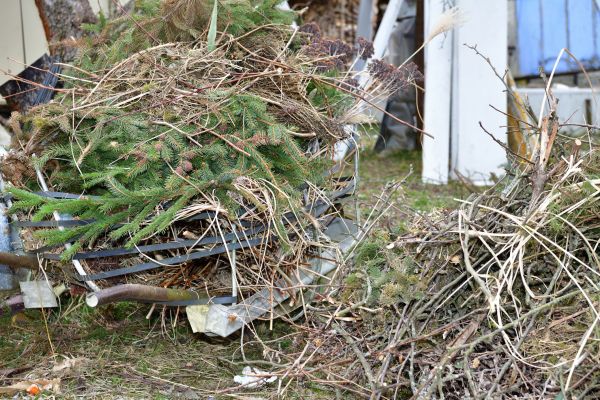 Cost of Yard Waste Removal Service in Danville