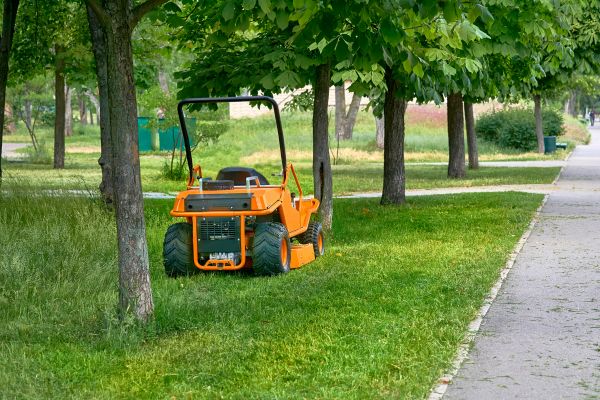 Landscaping Cleanup Service