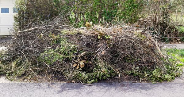 Cost of Tree Limb Cleanup in Danville