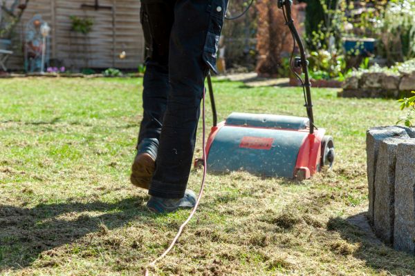 Lawn Power Raking