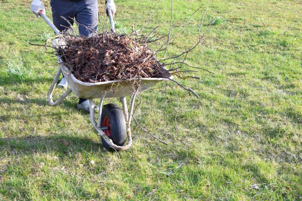 Cost of Yard Brush Removal in Danville