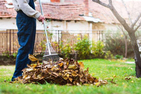 Cost of Spring Lawn Cleanup in Danville