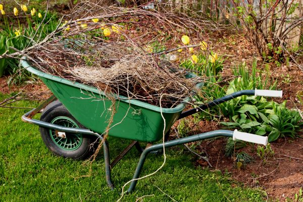 Cost of Lawn Waste Removal in Danville