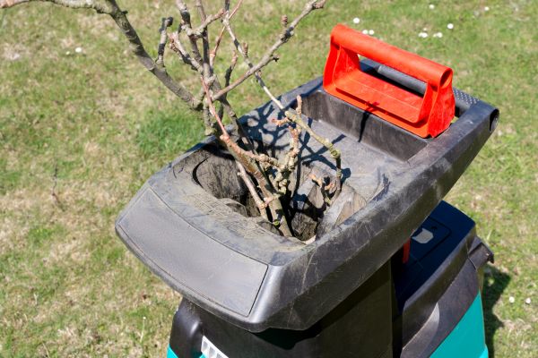 Cost of Brush Cleanup Service in Danville