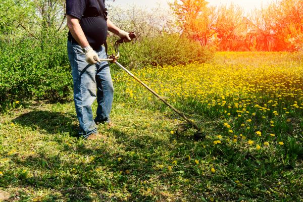 Cost of Yard Clearing Service in Danville