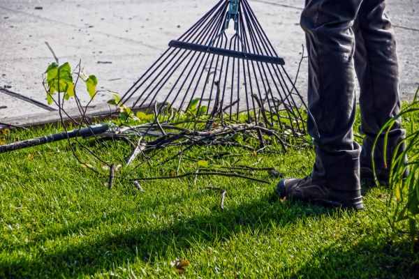 Cost of Yard Debris Cleanup in Danville