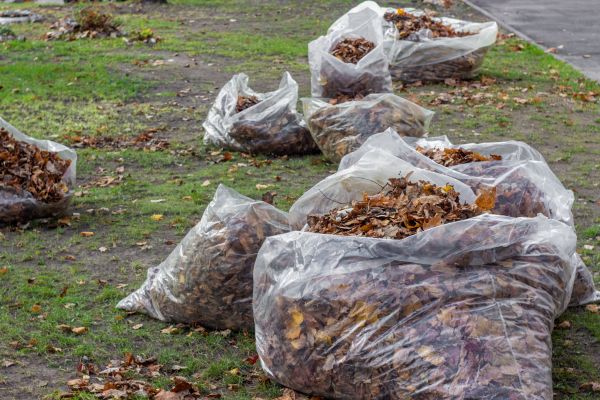 Leaf Pile Disposal Service