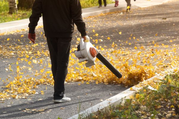 Cost of Commercial Leaf Removal in Danville